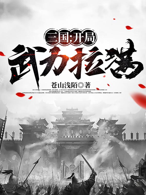 三国开局武力无限