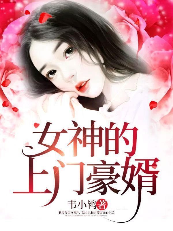 女神的上门豪婿完整版